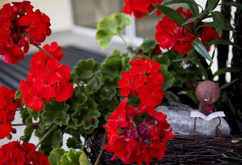 בית מלון כפרי Restaurant Zur Windmuhle