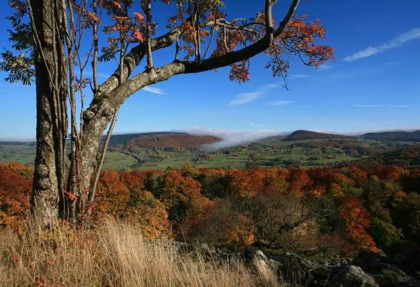 Отель Rhön Park Aktiv Resort