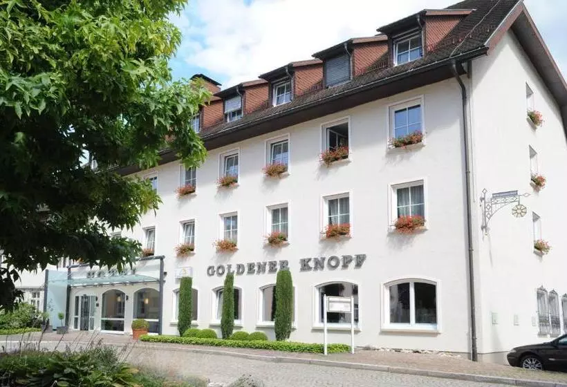 호텔 Goldener Knopf