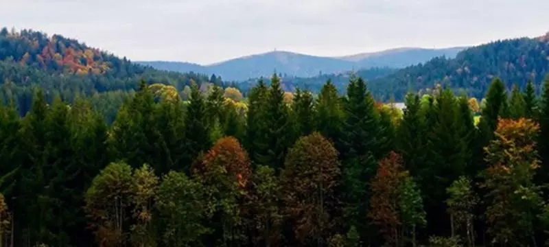 בית מלון כפרי Zartenbach B&b