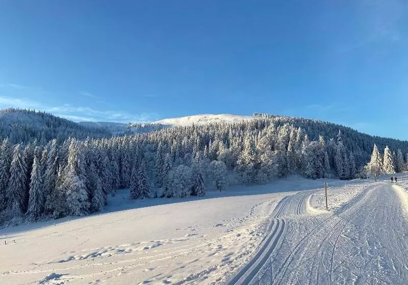 בית מלון כפרי Zartenbach B&b