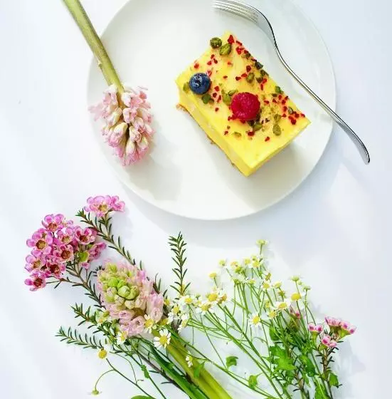 Seinz Wisdom Resort Bio Hotel Vegan Vegetarisch