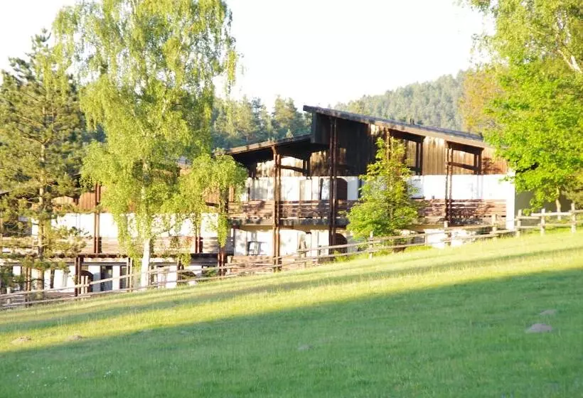 Waldhotel Bächlein