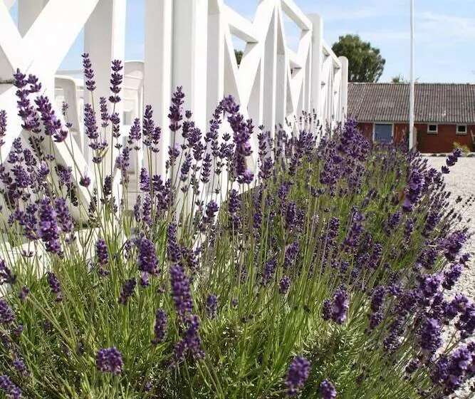 호텔 Slukefter Kro