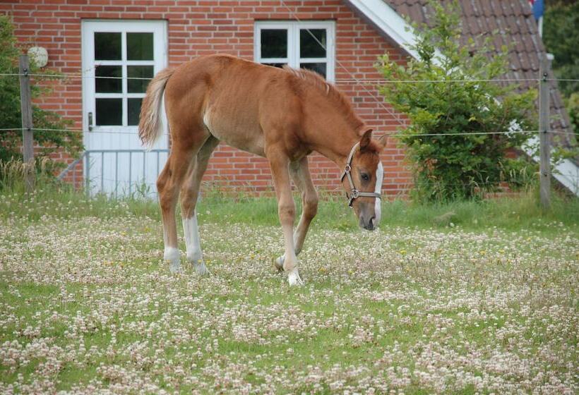 מוטל Gjerrild Kro