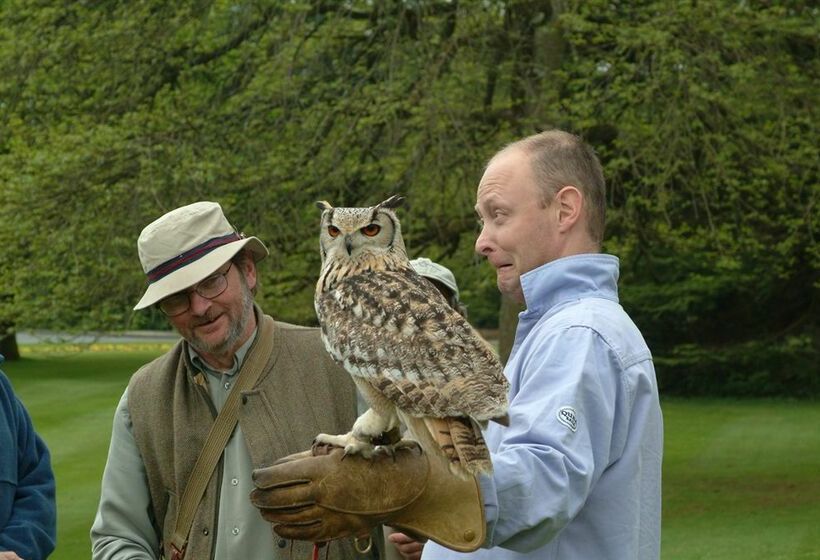 ホテル Adare Manor