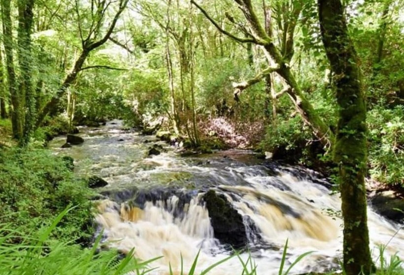 酒店 Ross Lake House