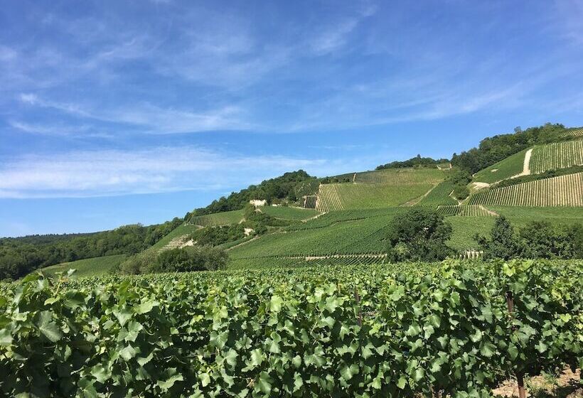 فندق De Champagne