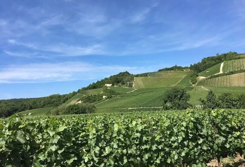 Отель De Champagne