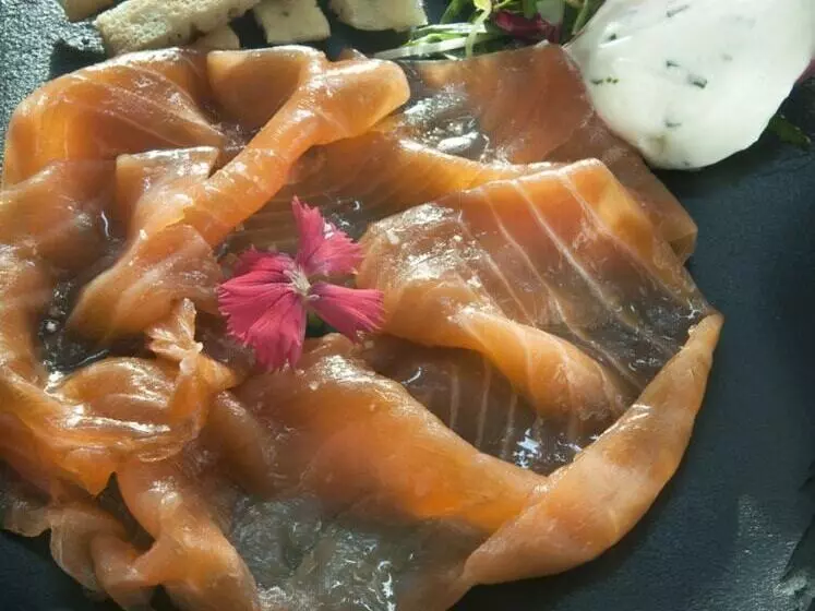 酒店 De Seze & Spa Bordeaux Centre