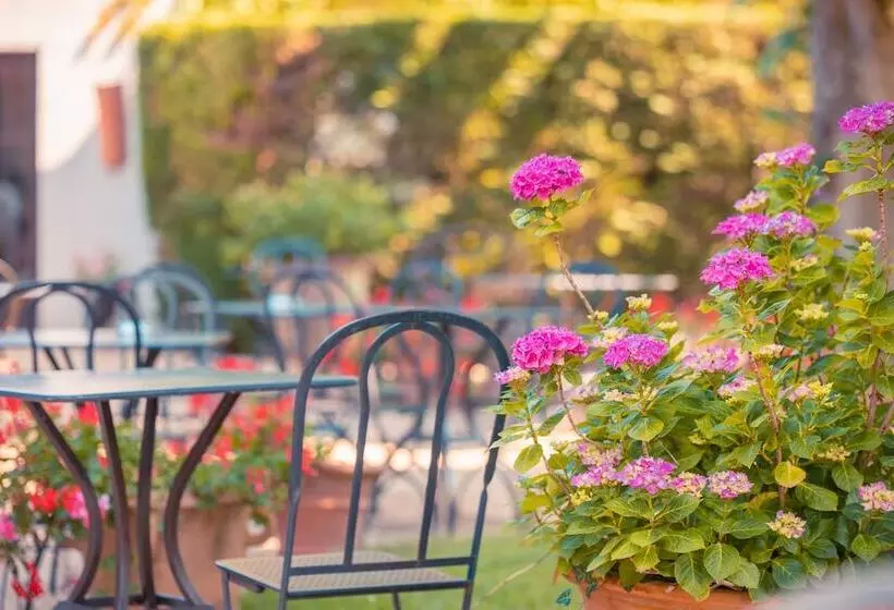 هتل Hôtel Le Donjon   Cœur De La Cité Médiévale