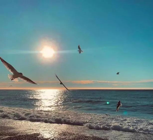 Hotel Le Riviera Collection, Signature Collection By Best Western