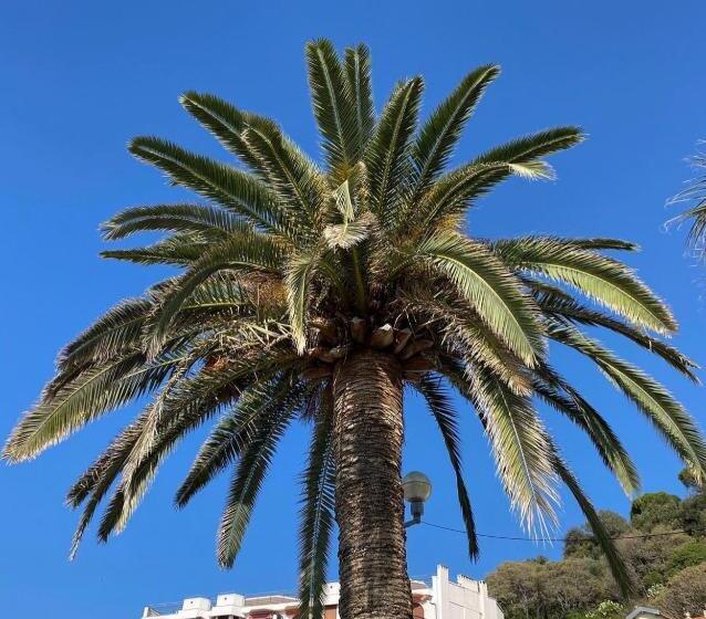 هتل Le Riviera Collection, Signature Collection By Best Western