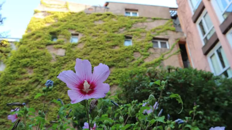 ホテル Hôtel D'orsay