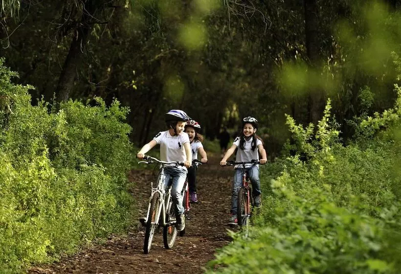 Отель Ibis Mulhouse Ile Napoleon