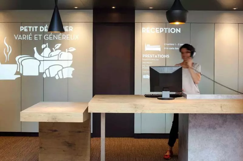 فندق Ibis Pau Lescar