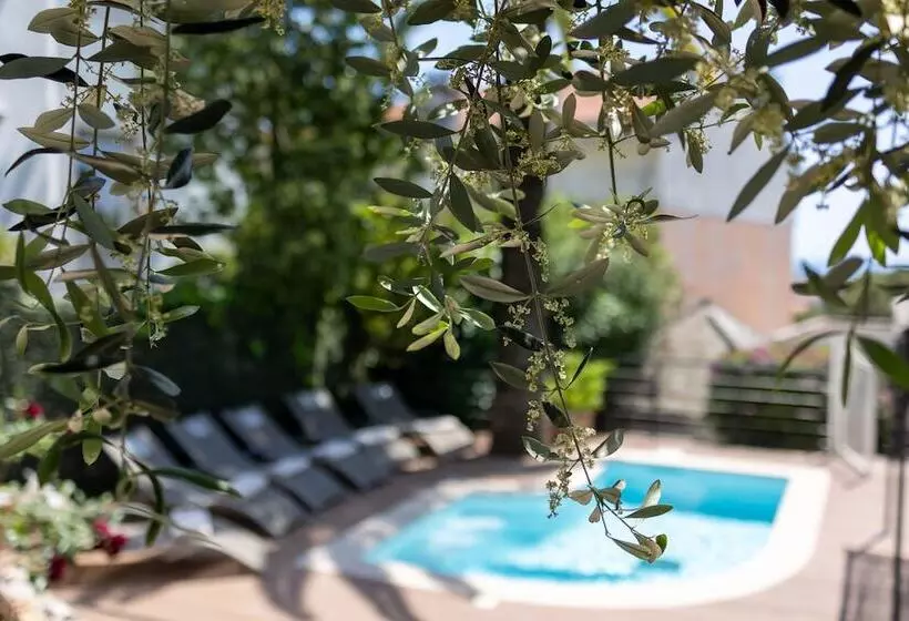 فندق Hôtel Petit Palais