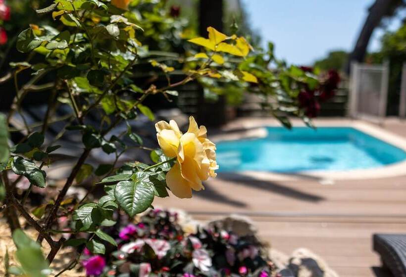 هتل Hôtel Petit Palais