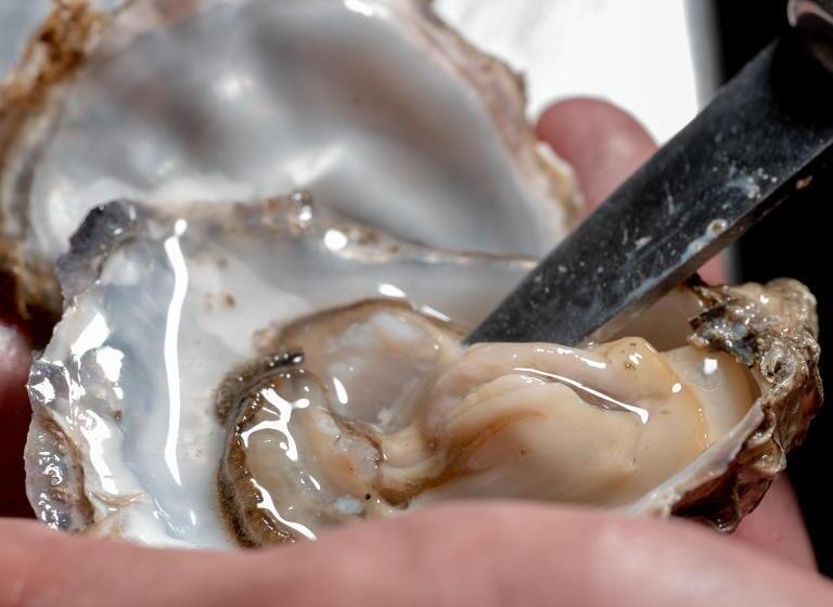 ホテル Hôtel Restaurant La Voile Bleue