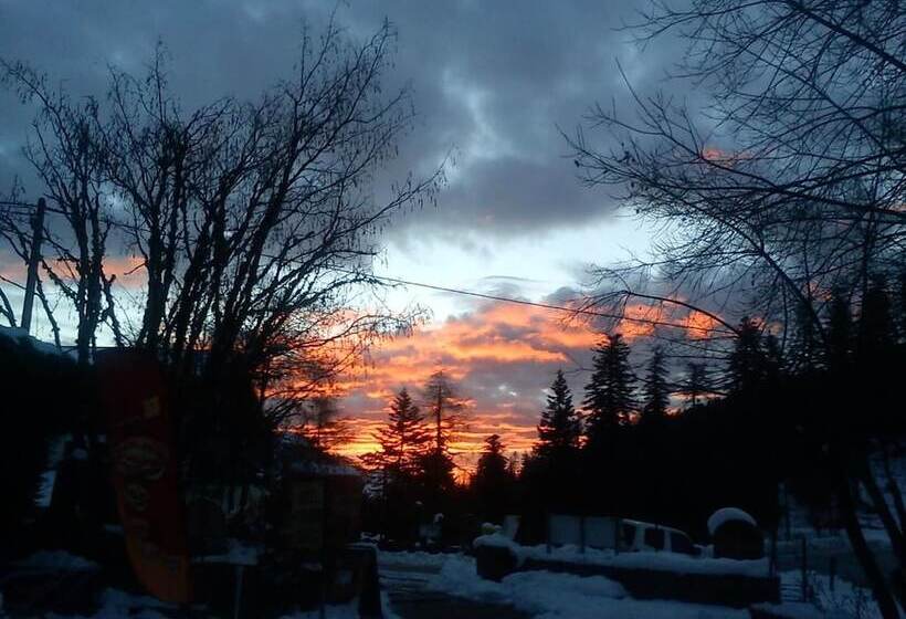 ホテル Les Chamois