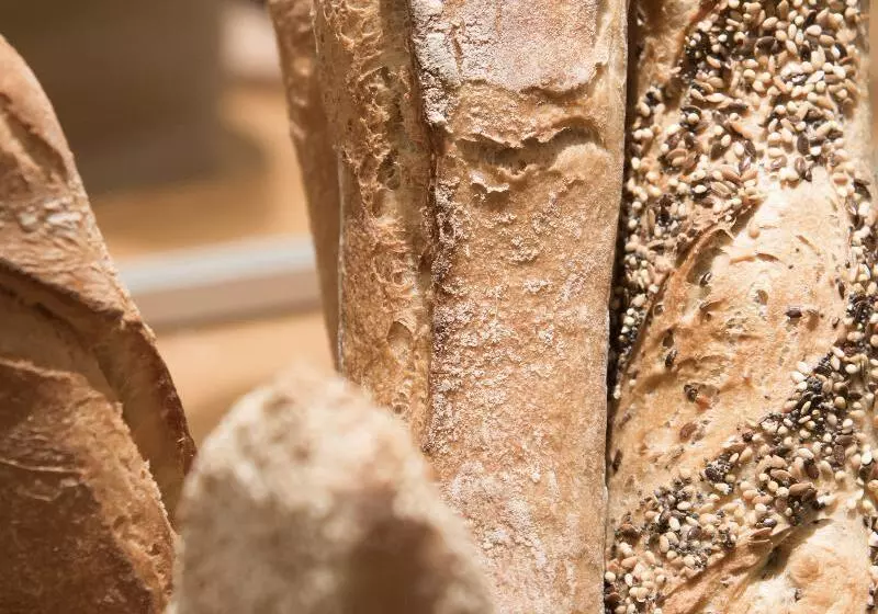 ホテル Elysees Regencia