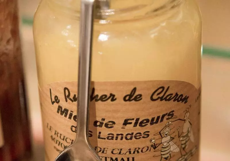 ホテル Elysees Regencia