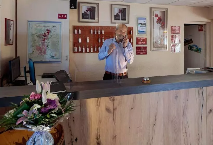 Logis Hotel Noemys Morgon