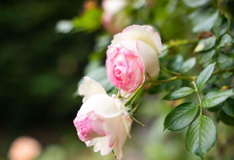 هتل The Originals Boutique, Hôtel Terminus, Bourg En Bresse Gare