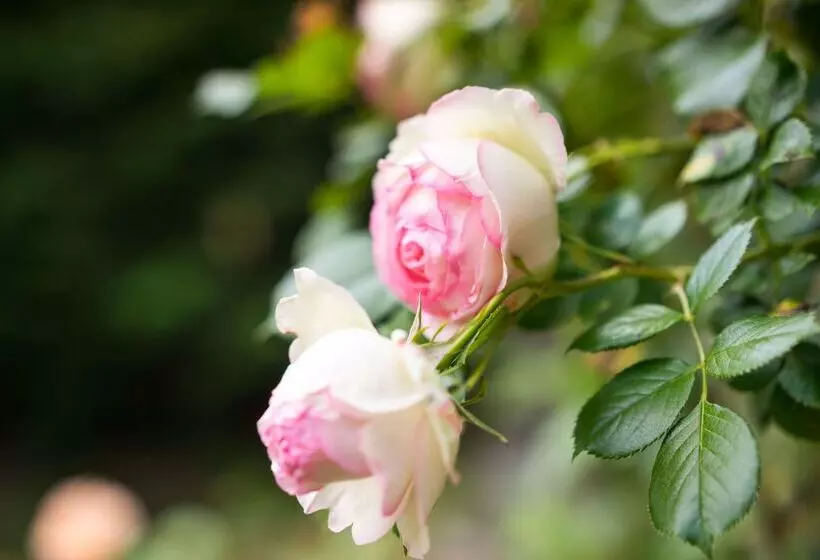 בית מלון כפרי The Originals Boutique, Hôtel Terminus, Bourg En Bresse Gare