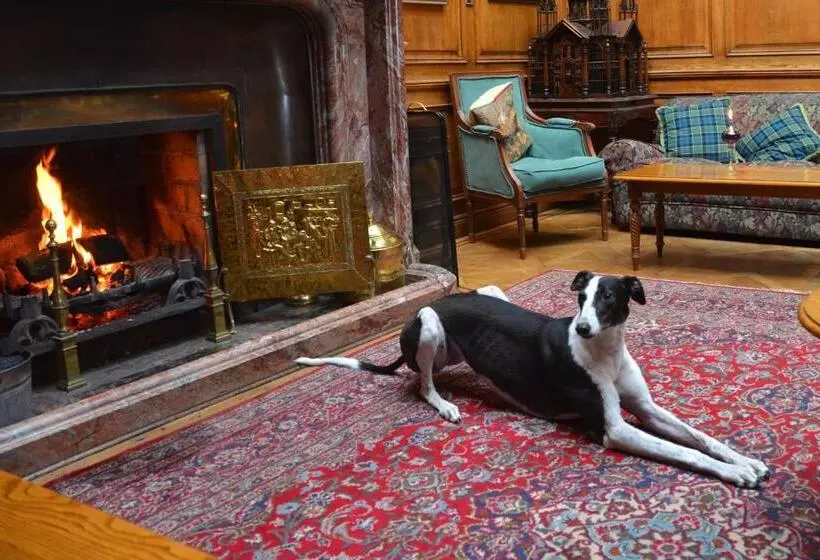 Hotel Lands Of Loyal