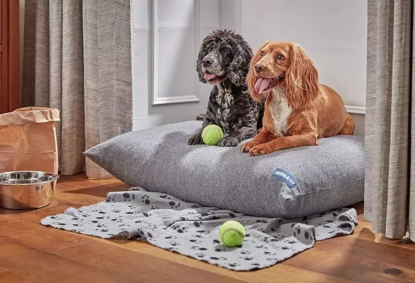 استراحتگاه Moonfleet Manor   A Luxury Family