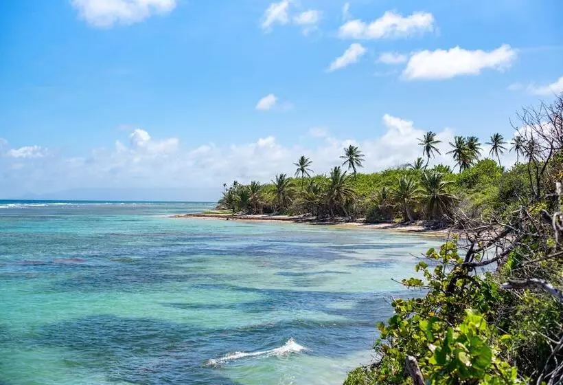 هتل Le Relais Du Moulin Hôtel De Charme & Spa Adult Only