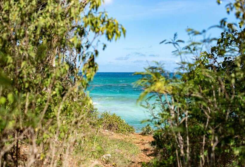 هتل Le Relais Du Moulin Hôtel De Charme & Spa Adult Only