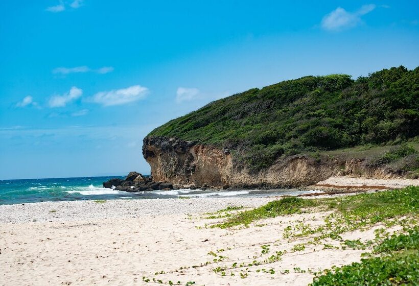 هتل Le Relais Du Moulin Hôtel De Charme & Spa Adult Only