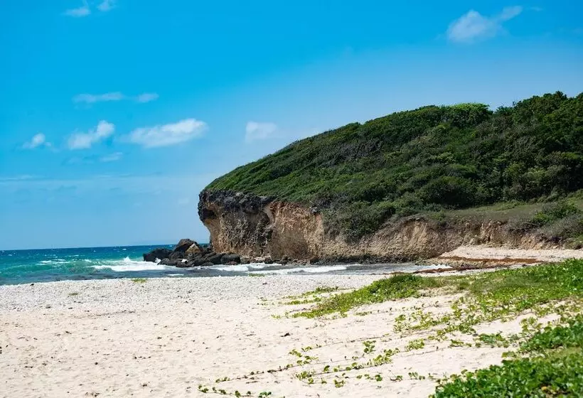 هتل Le Relais Du Moulin Hôtel De Charme & Spa Adult Only