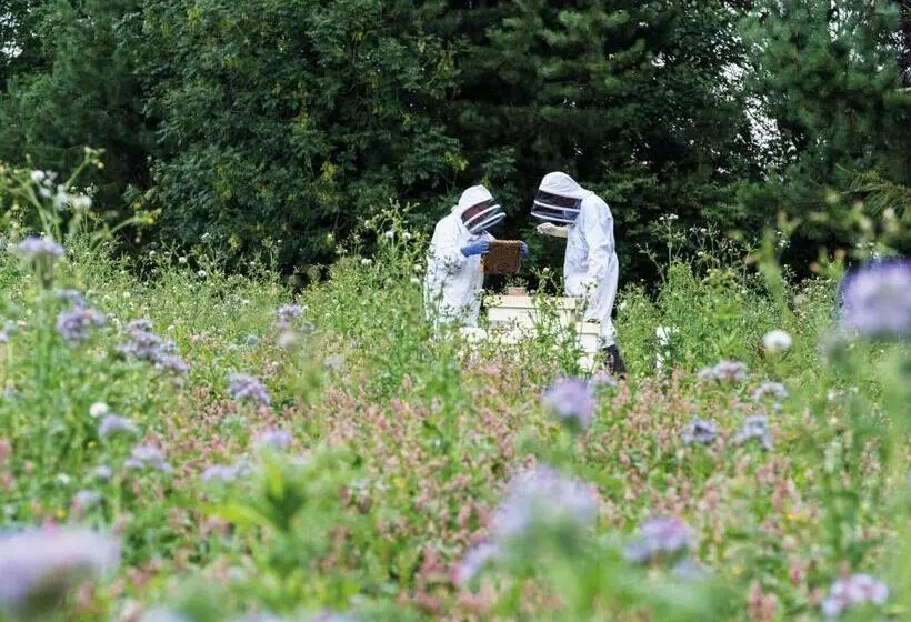 North Lakes Hotel And Spa