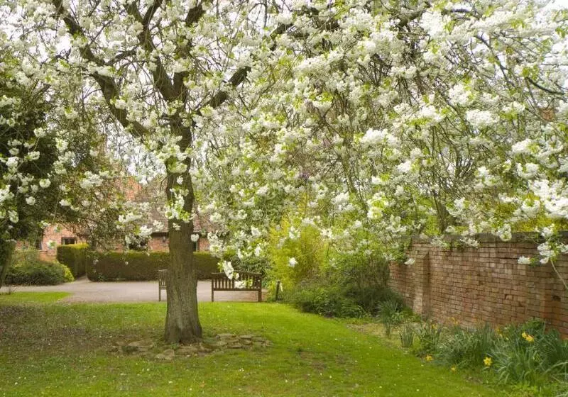 Clarion Hotel Charlecote Pheasant