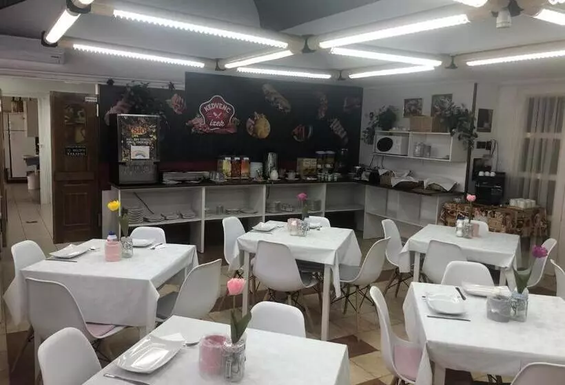 Отель Hőforrás