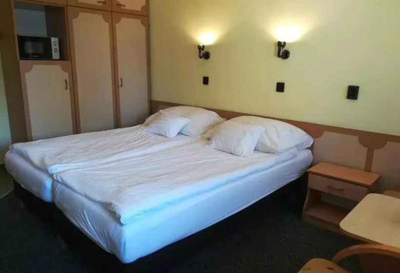 Отель Hőforrás