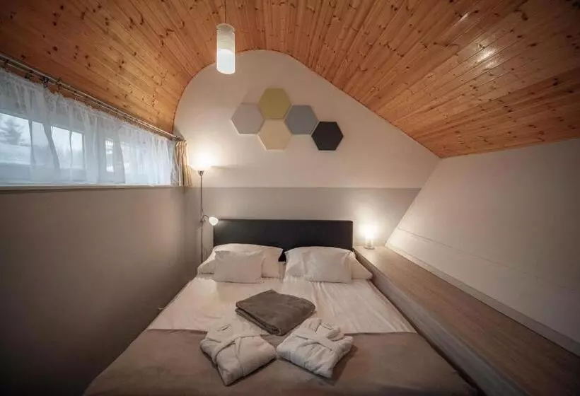 Отель Hőforrás