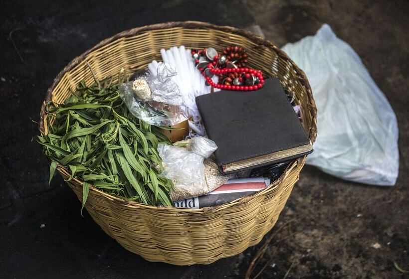 هتل Museo Mayan Inn