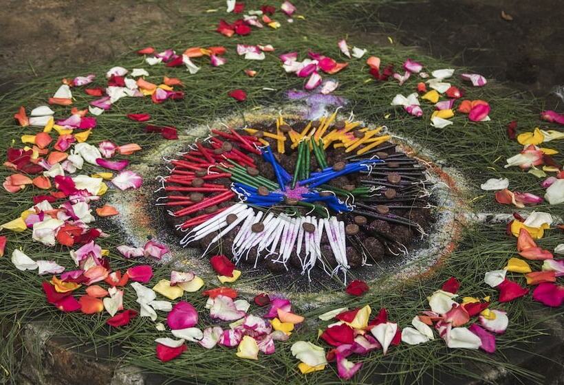 هتل Museo Mayan Inn