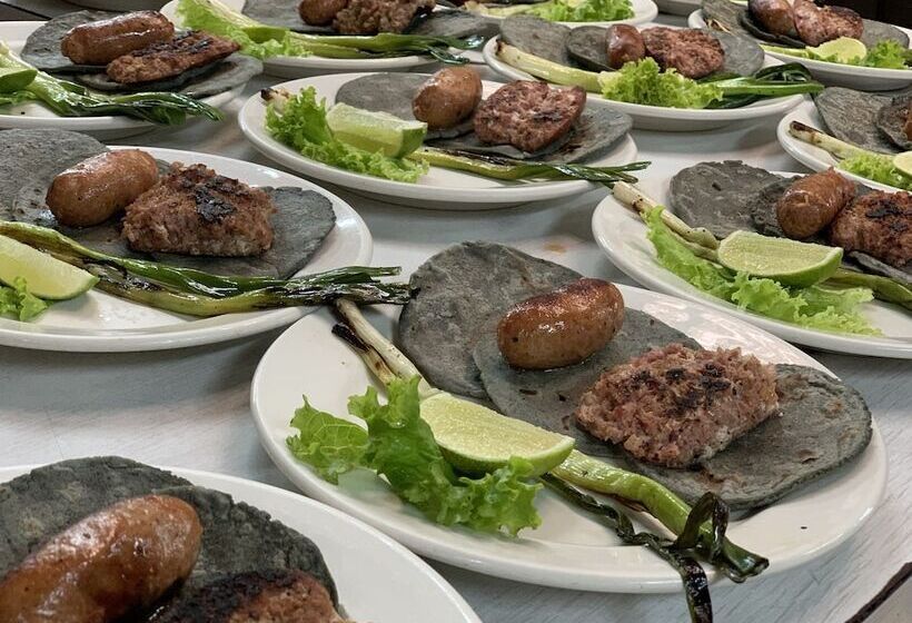 هتل Museo Mayan Inn