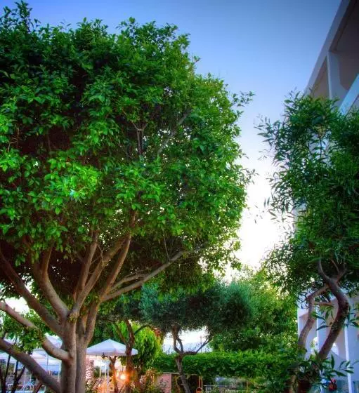 Szálloda Solimar Dias