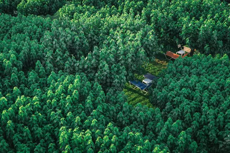 Tzaki Hotel & Restaurant Patras