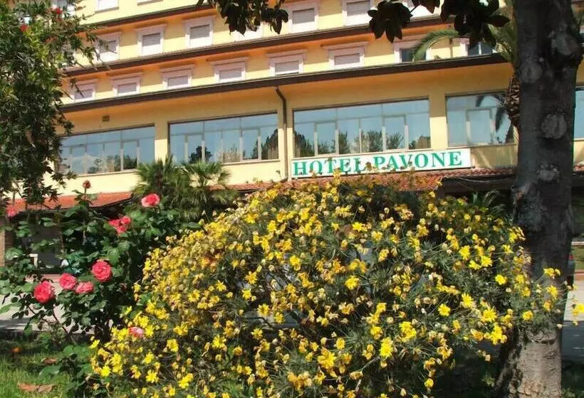 Grand Hotel Pavone