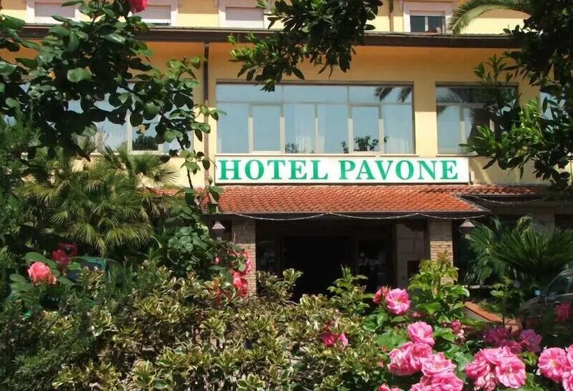 Grand Hotel Pavone