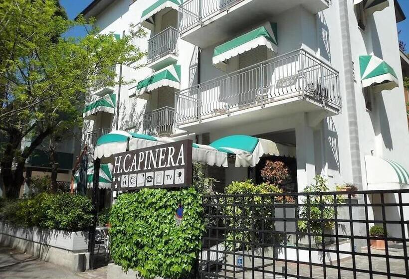 Hotel Camere Capinera