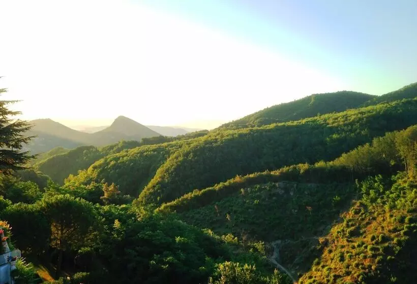 酒店 Scapolatiello