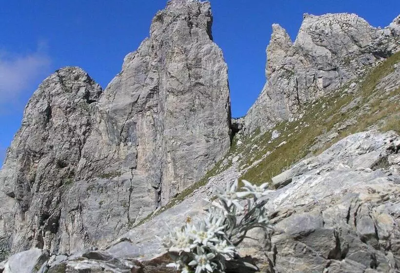 ホテル Albergo Panice